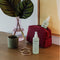 Holy Basil & Aloe Hydrating Mist