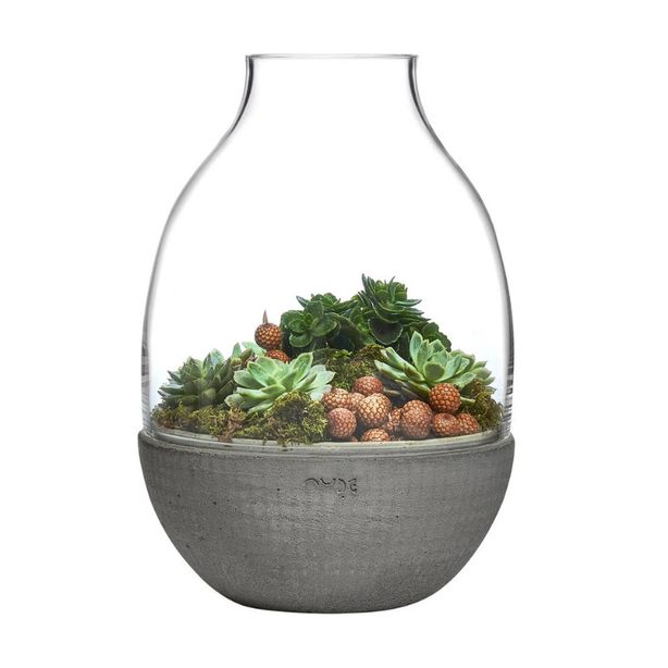 NUDE Eden Terrarium Clear with Moulded Concrete Base