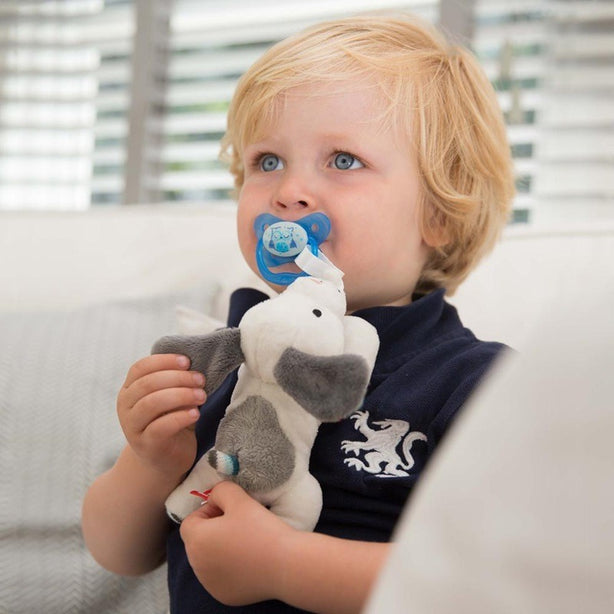 Zazu Dexy the Dog, Soft Toy with Pacifier Holder