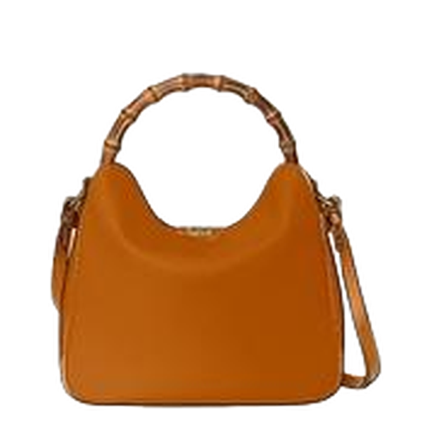 Diana Small GG Canvas Shoulder Bag - Beige and Dark Brown
