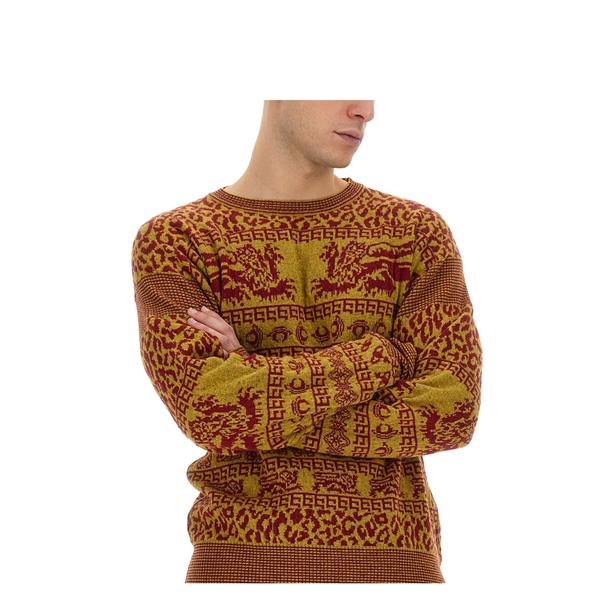 Lion Shirt