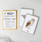 NYZE Early Learning A-Z Alphabet Flash Cards