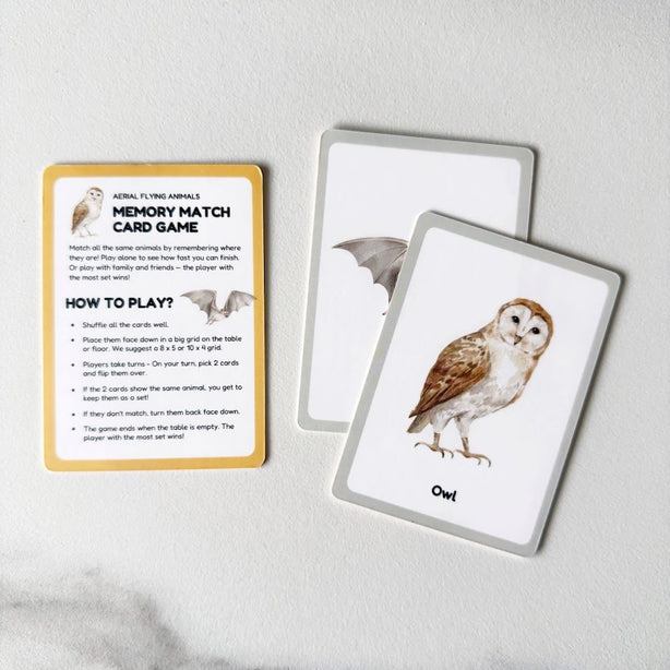 NYZE Early Learning A-Z Alphabet Flash Cards