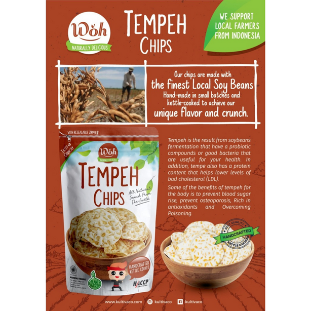 WOH Handcrafted Tempeh Chips Tempe Chips by Shears 100gms Mala (Bundle of 6 packs)